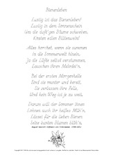Bienenleben-Fallersleben-GS.pdf